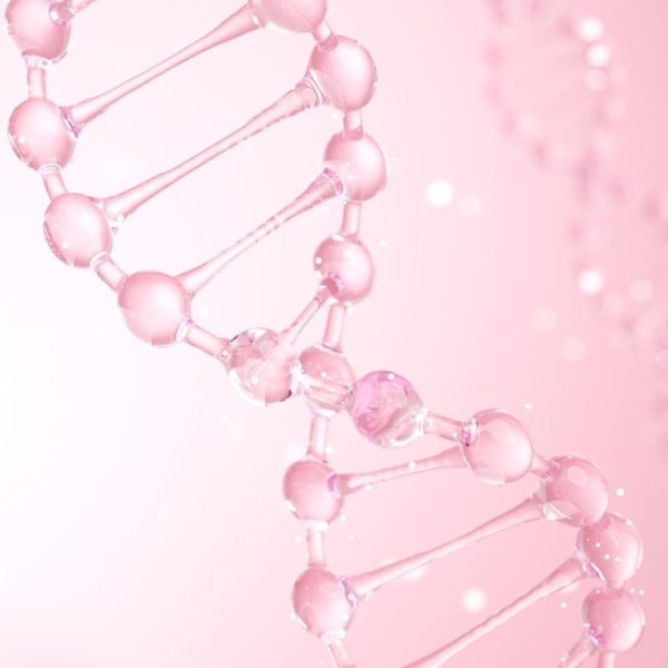 Quando si parla di mutazioni BRCA1 e BRCA2, il pensiero va subito ad Angelina Jolie e alla sua scelta di sottoporsi a mastectomia profilattica dopo aver scoperto di essere portatrice di una mutazione genetica.